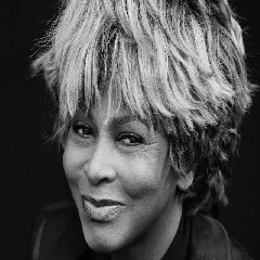 Tina Turner Simply The Best